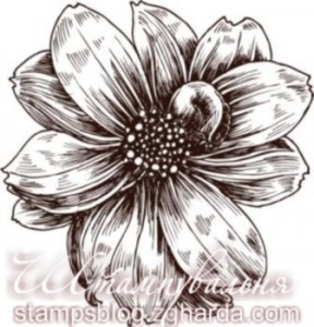 Stamp, flower, штамп, квітка, Космея